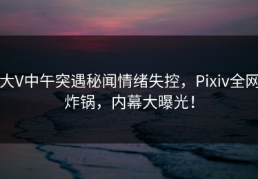 大V中午突遇秘闻情绪失控，Pixiv全网炸锅，内幕大曝光！