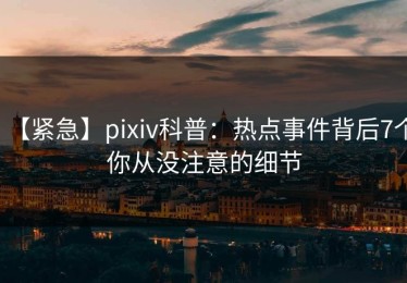 【紧急】pixiv科普：热点事件背后7个你从没注意的细节