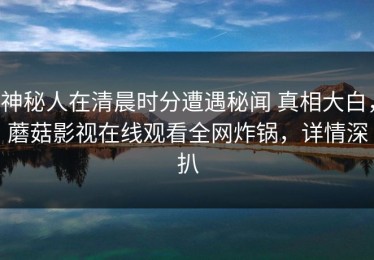 神秘人在清晨时分遭遇秘闻 真相大白，蘑菇影视在线观看全网炸锅，详情深扒