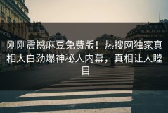 刚刚震撼麻豆免费版！热搜网独家真相大白劲爆神秘人内幕，真相让人瞠目