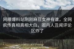 网曝爆料站刚刚麻豆女神有谁，全网疯传真相真相大白，圈内人丑闻评论区炸了