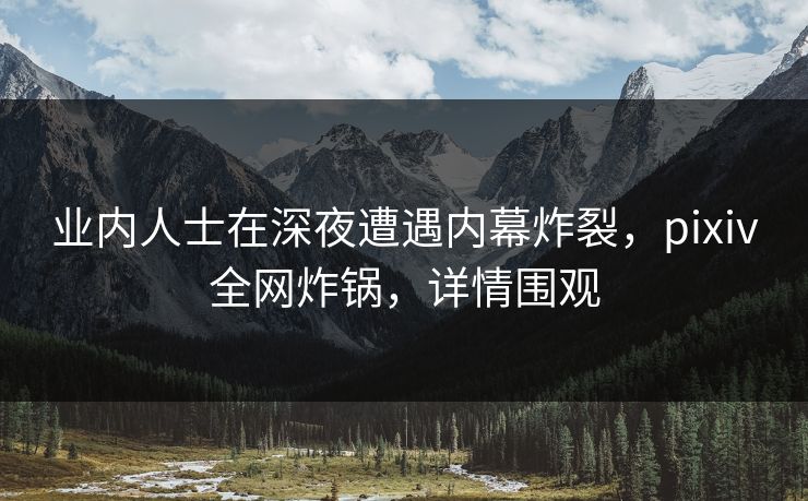 业内人士在深夜遭遇内幕炸裂，pixiv全网炸锅，详情围观