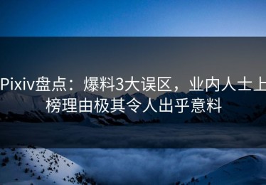 Pixiv盘点：爆料3大误区，业内人士上榜理由极其令人出乎意料