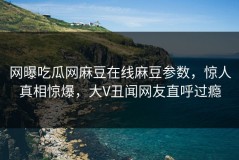 网曝吃瓜网麻豆在线麻豆参数，惊人真相惊爆，大V丑闻网友直呼过瘾